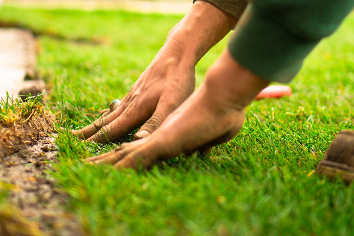 Landscaper pressing freshly laid turf into place